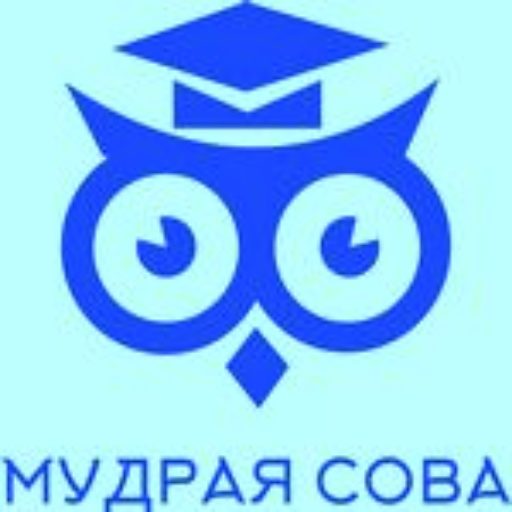 Онлайн-школа Мудрая Сова
